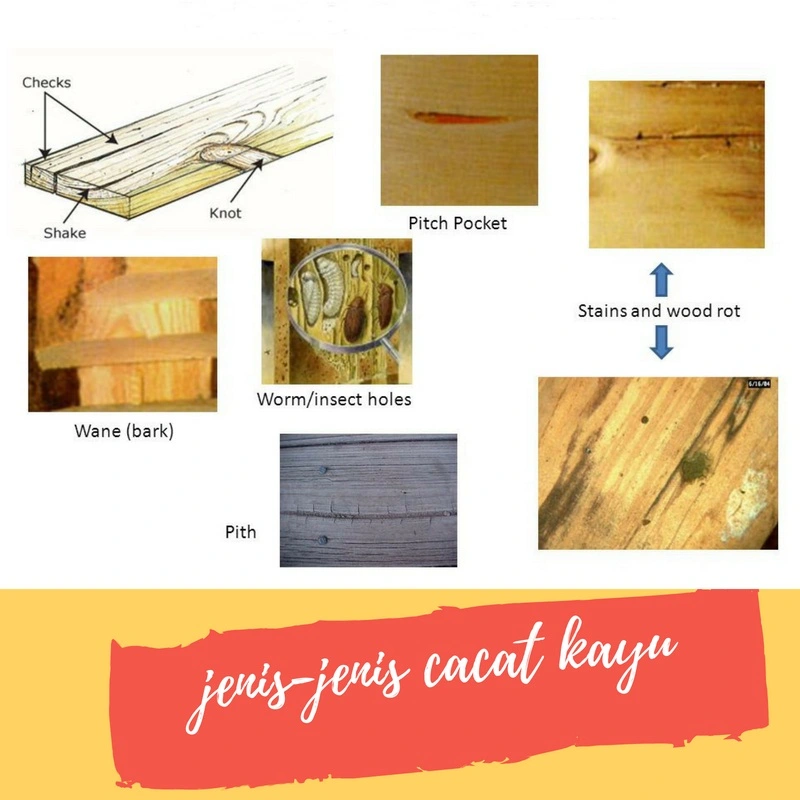cacat kayu